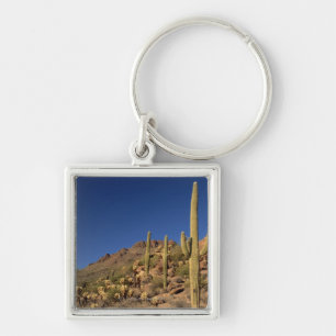 Saguaro cacti and Tucson Mountains, Tucson Key Ring