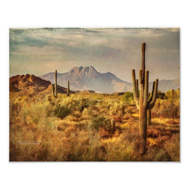 Saguaro Cacti Arizona Desert Mountain View Photo Print (Front)
