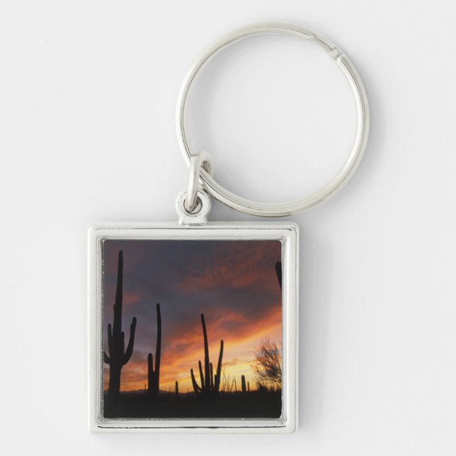 saguaro cacti, Carnegiea gigantea, after Key Ring (Front)