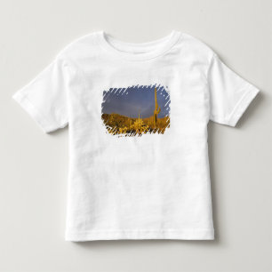 saguaro cacti, Carnegiea gigantea, and teddy Toddler T-Shirt