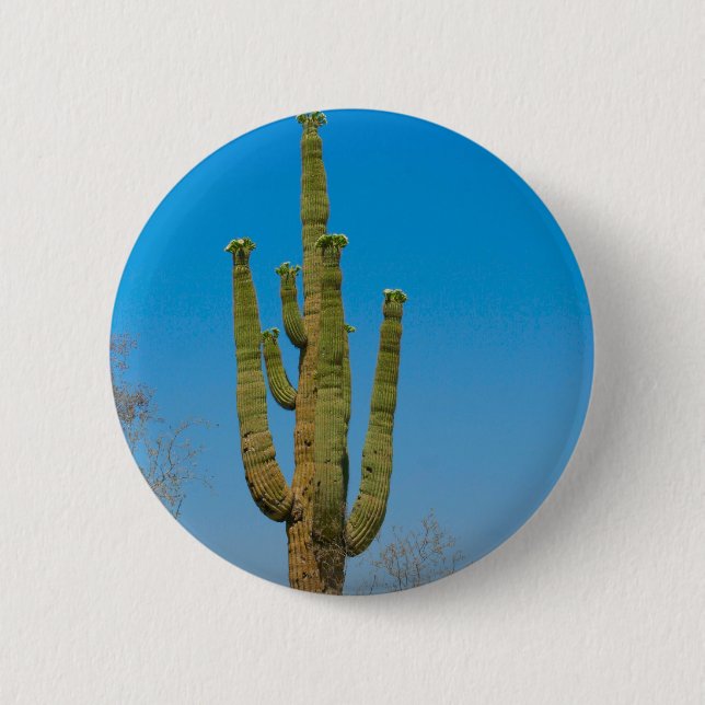 Saguaro Cactus 6 Cm Round Badge (Front)