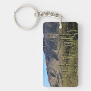 Saguaro Cactus and Catalina Mountains, Tucson AZ Key Ring