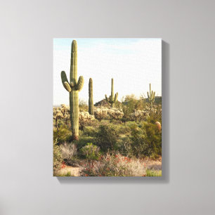 Saguaro Cactus, Arizona,USA Canvas Print