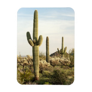 Saguaro Cactus, Arizona,USA Magnet