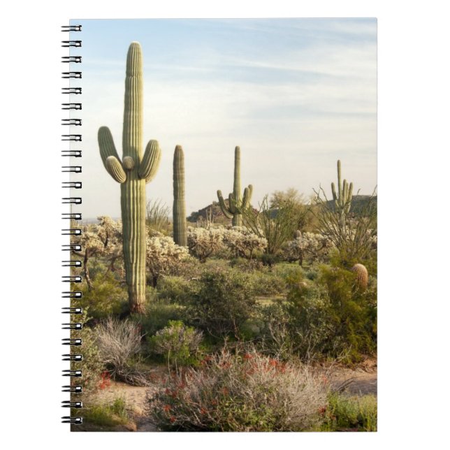 Saguaro Cactus, Arizona,USA Notebook (Front)