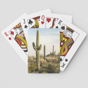 Saguaro Cactus, Arizona,USA Playing Cards