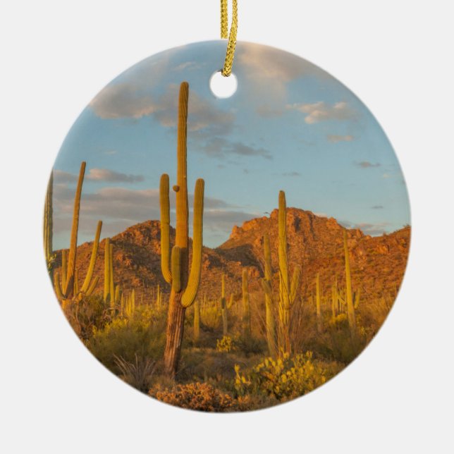 Saguaro cactus at sunset, Arizona Ceramic Ornament (Front)