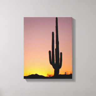 Saguaro Cactus at Sunset Canvas Print