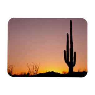 Saguaro Cactus at Sunset Magnet
