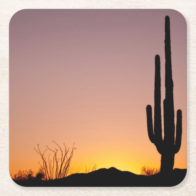 Saguaro Cactus at Sunset Square Paper Coaster (Front)