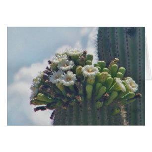 saguaro cactus blooms card