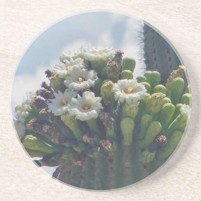 Saguaro cactus blooms coaster (Front)