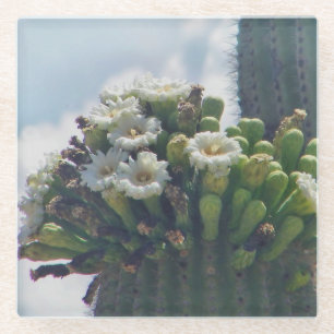 Saguaro cactus blooms glass coaster