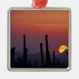 Saguaro Cactus Carnegiea gigantea), Sunset, Metal Ornament