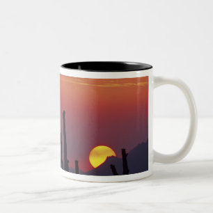 Saguaro Cactus Carnegiea gigantea), Sunset, Two-Tone Coffee Mug