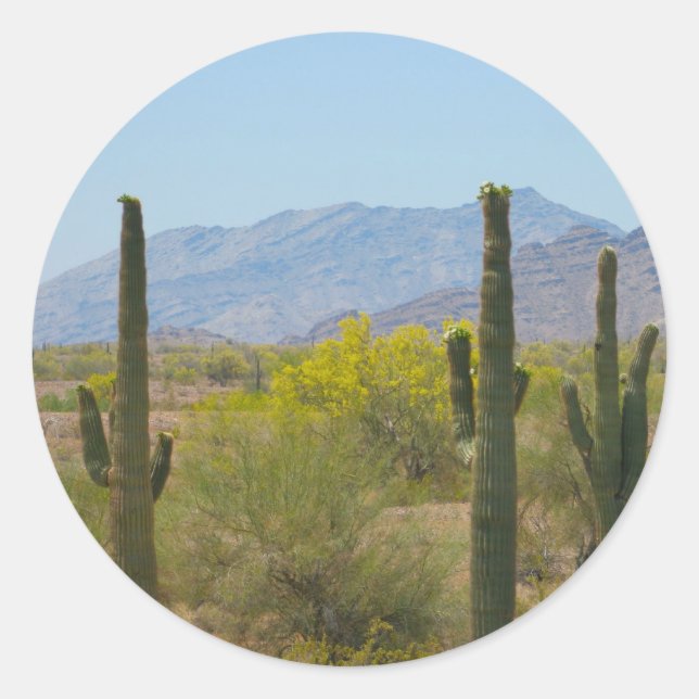 Saguaro Cactus Classic Round Sticker (Front)