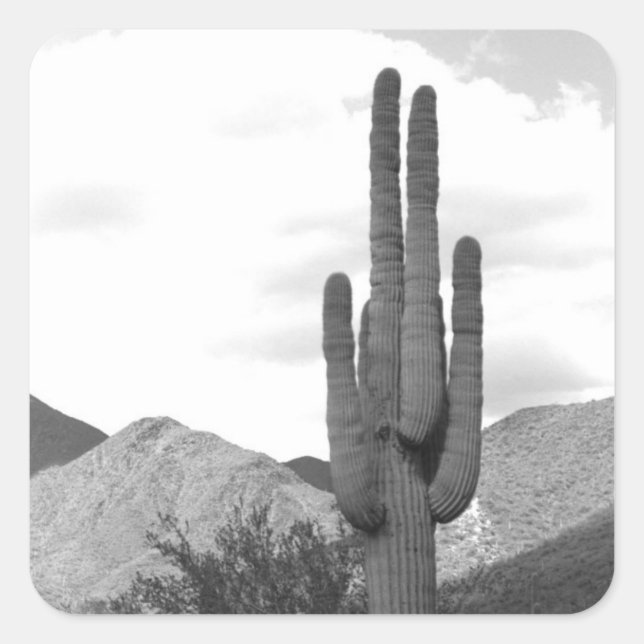 Saguaro Cactus Desert Custom Decal Stickers (Front)