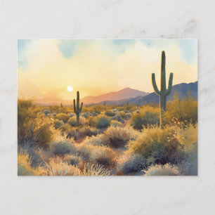 Saguaro Cactus Desert Sunset Postcard