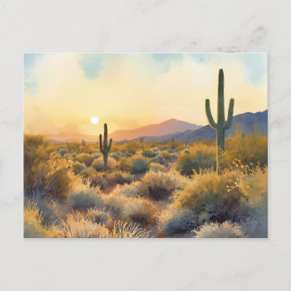 Saguaro Cactus Desert Sunset Postcard