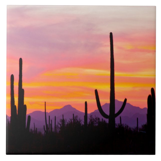 Saguaro Cactus Forest at Sunset Ceramic Tile (Front)