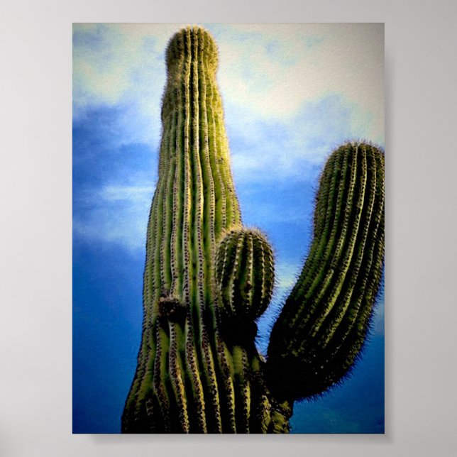 Saguaro Cactus High  Postcard Poster (Front)