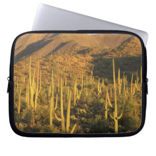 Saguaro cactus in Saguaro National Park near Laptop Sleeve