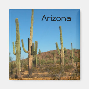 Saguaro cactus magnet
