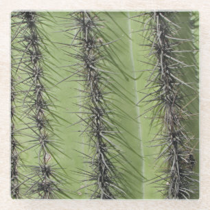 Saguaro Cactus Needles Photo Southwest Nature Glass Coaster