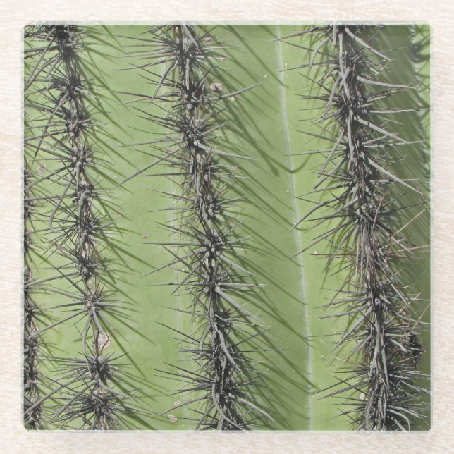 Saguaro Cactus Needles Photo Southwest Nature Glass Coaster (Front)