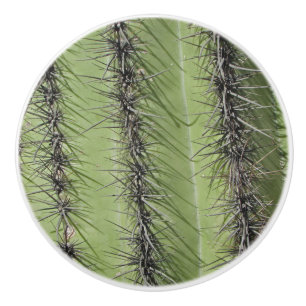Saguaro Cactus Photo Bright Green Plant Southwest Ceramic Knob