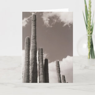 Saguaro Cactus Pipes Desert Photo Greeting Card