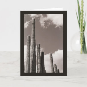 Saguaro Cactus Pipes Desert Photo Greeting Cards