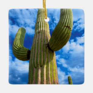 Saguaro cactus portrait, Arizona Ceramic Tree Decoration