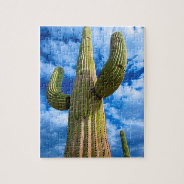 Saguaro cactus portrait, Arizona Jigsaw Puzzle (Vertical)