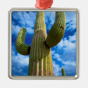 Saguaro cactus portrait, Arizona Metal Ornament