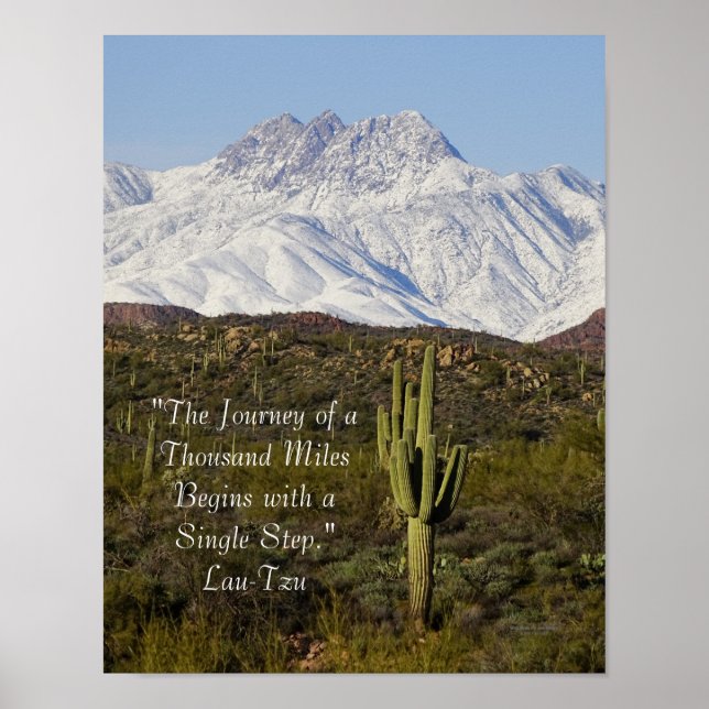 Saguaro Cactus Snow Capped Mountains Arizona USA Poster (Front)
