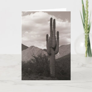 Saguaro Cactus Sonoran Desert Photo Greeting Card