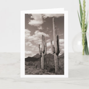 Saguaro Cactus Sonoran Desert Photo Greeting Card