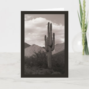 Saguaro Cactus Sonoran Desert Photo Greeting Cards