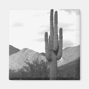 Saguaro Cactus Sonoran Desert Refrigerator Magnet