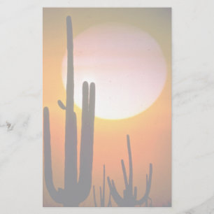 Saguaro cactus, Sonoran Desert, U.S.A. Desert Stationery