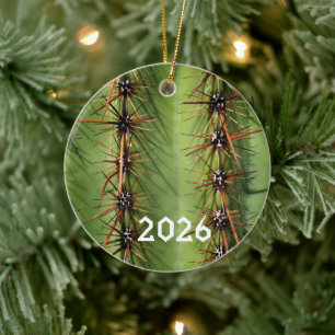 Saguaro Cactus Spines Close-up, Saguaro Ntl. Park Ceramic Ornament