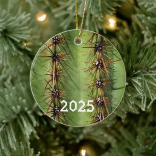 Saguaro Cactus Spines Close-up, Saguaro Ntl. Park Ceramic Ornament