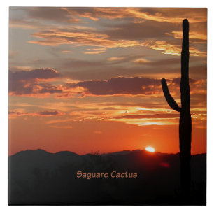 Saguaro Cactus, Sunset, Ceramic Tile