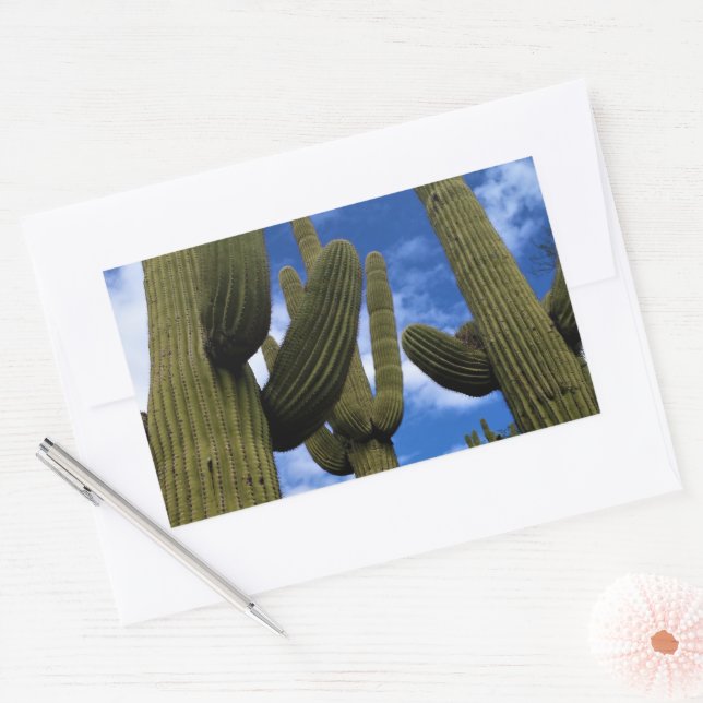 Saguaro Cactus Trio / Blue Sky & Clouds / Arizona Rectangular Sticker (Envelope)