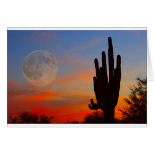 Saguaro Full Moon Sunset