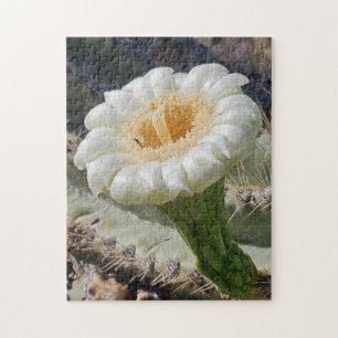 Saguaro in Bloom Puzzle, 11" x 14", 252 pieces Jigsaw Puzzle