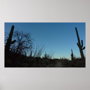 Saguaro Morning at Saguaro National Park Poster