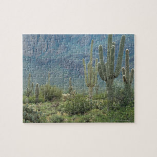 Saguaro National Park , Arizona Jigsaw Puzzle