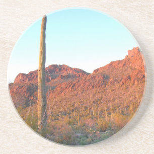 Saguaro National Park Coaster